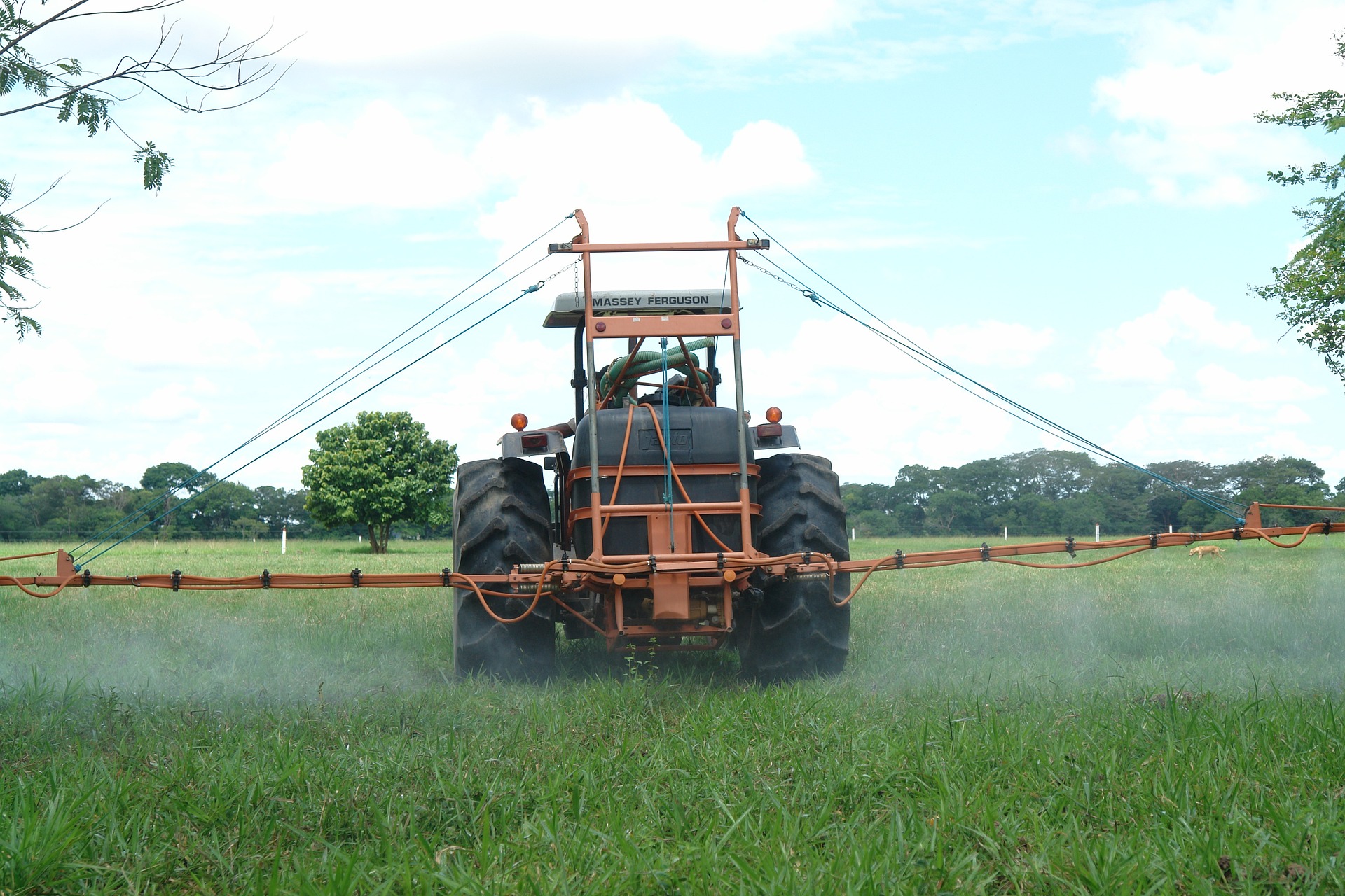 Greeneye dice que los agricultores gastan más de 30 mil millones de dólares en herbicidas cada año. Foto: Herney/PixaBay