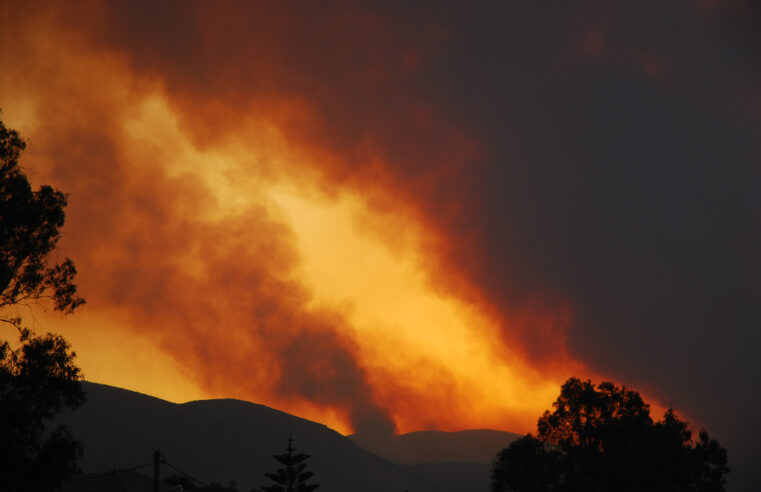 5 soluciones israelíes para prevenir incendios forestales