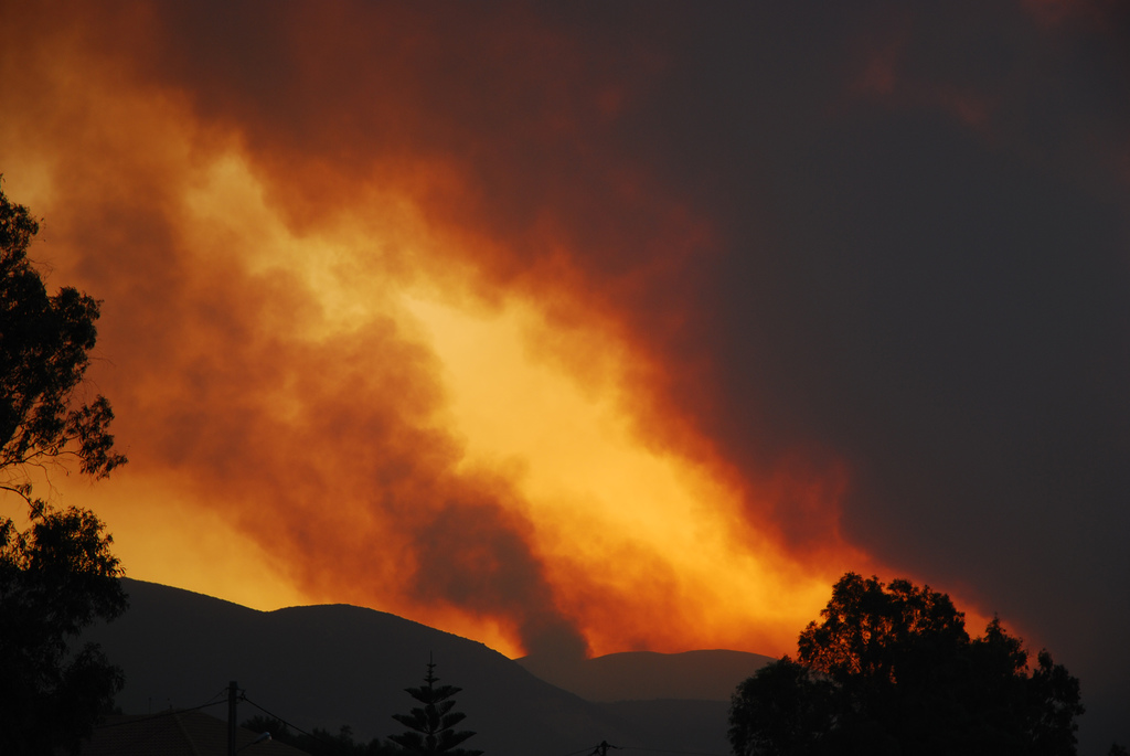 5 soluciones israelíes para prevenir incendios forestales