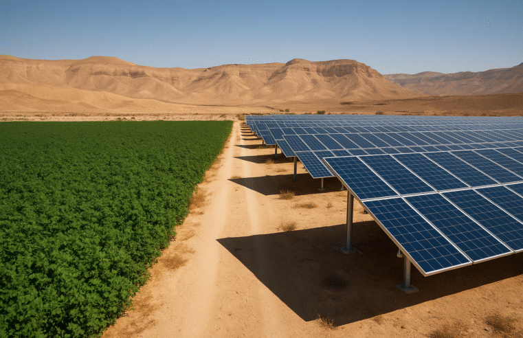 Especial Día de la Tierra:  cómo Israel convierte la escasez en innovación ambiental